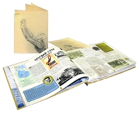 Чемпионаты мира по футболу 1930-2006 (подарочное издание) артикул 6046c.